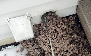 Lint Cleaners Near Me